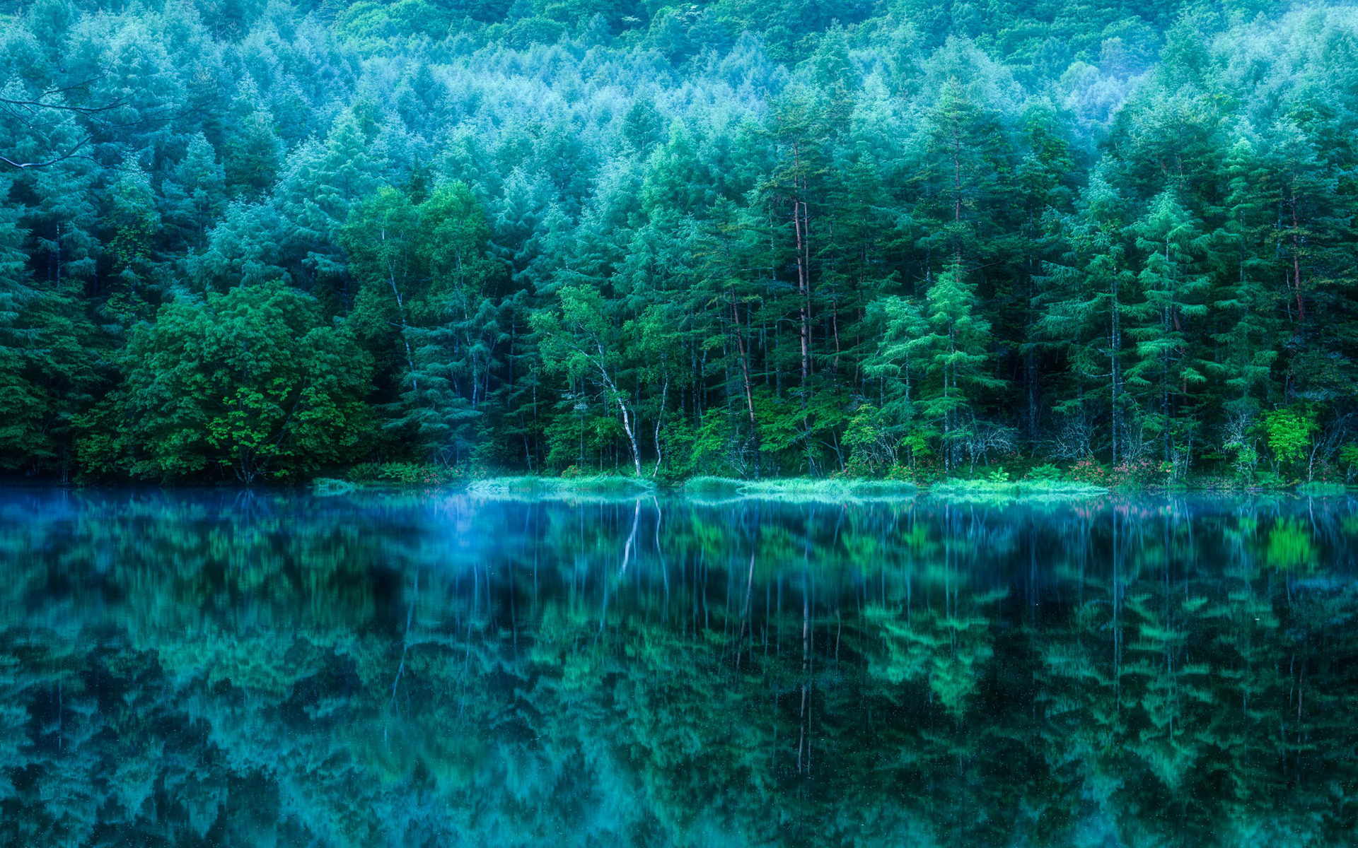 fondo de pantalla de color verde oscuro,naturaleza,agua,azul,verde,paisaje natural