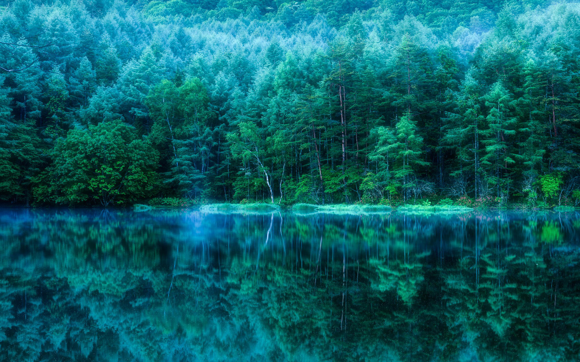 deep green wallpaper,nature,water,blue,green,natural landscape