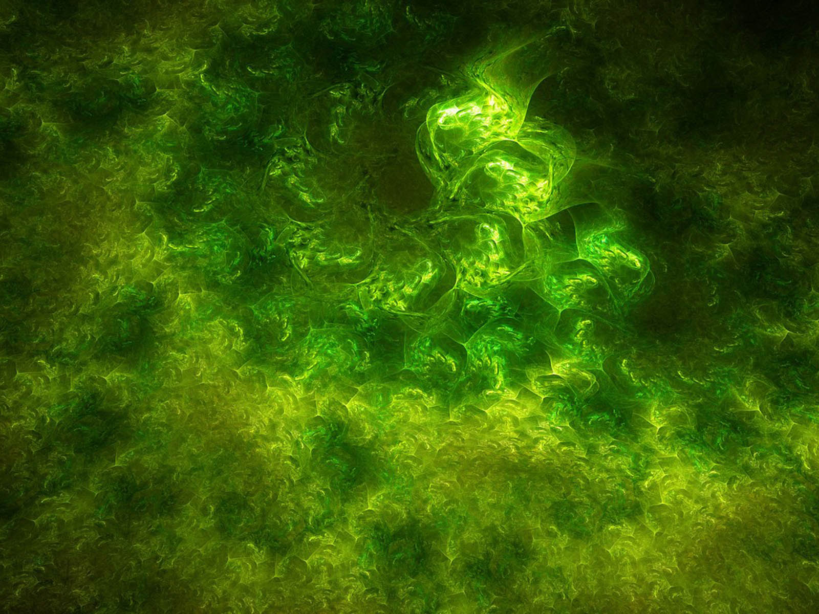 fondo de pantalla verde,verde,naturaleza,alga verde,arte fractal,algas