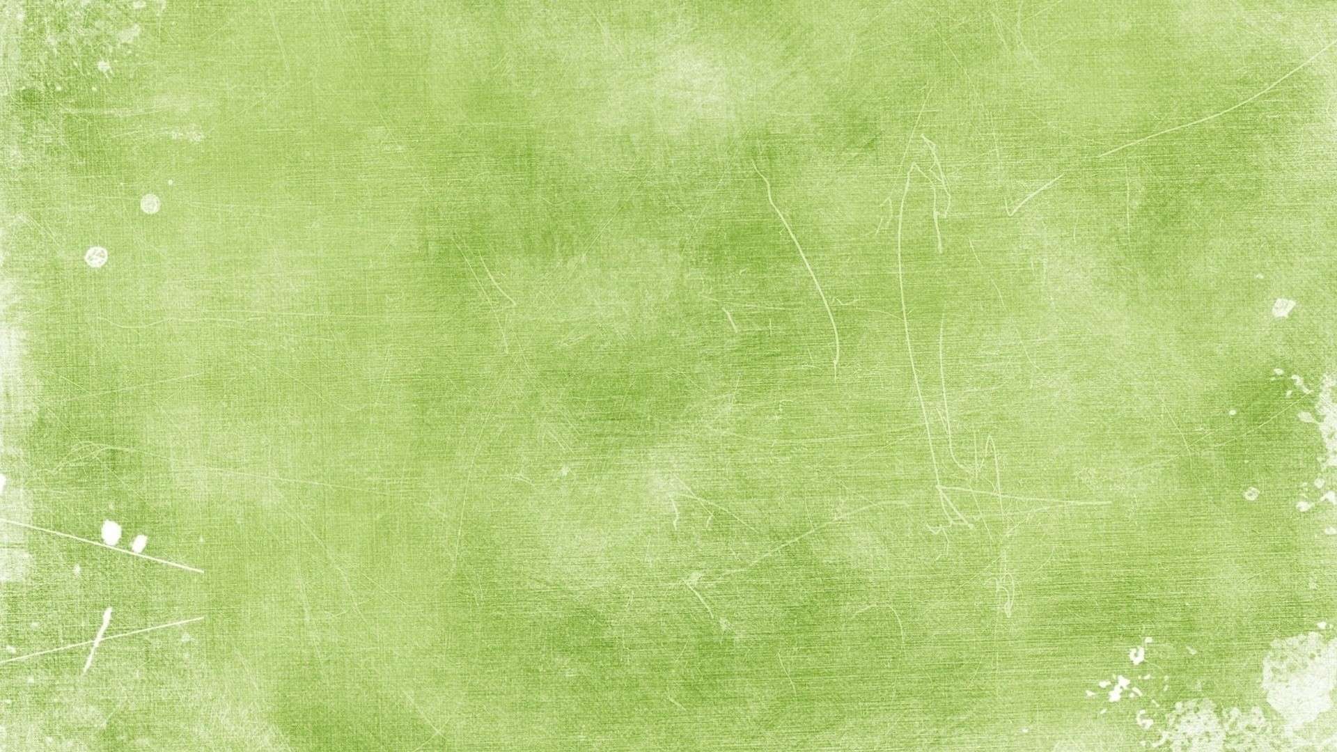 淡い緑の壁紙,緑,壁紙