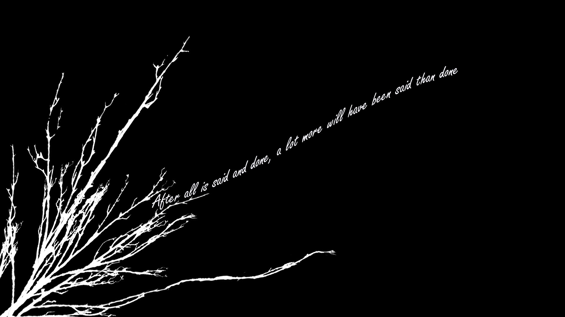 nice black wallpaper,black,darkness,black and white,branch,line