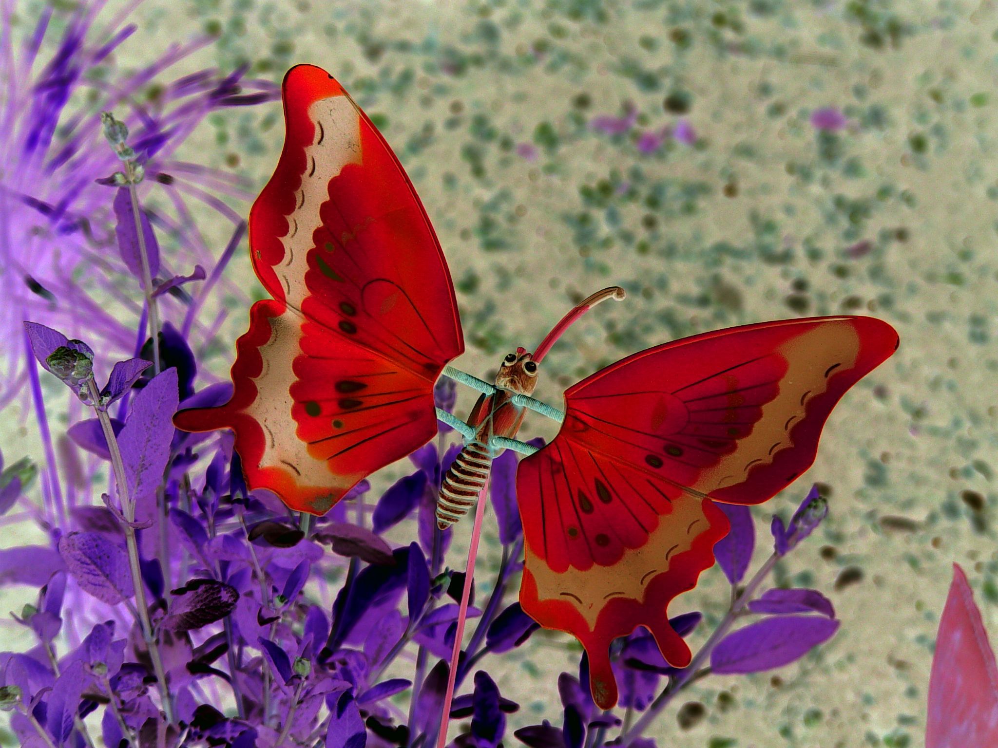 farfalla volante live wallpaper,la farfalla,cynthia subgenus,insetto,falene e farfalle,invertebrato