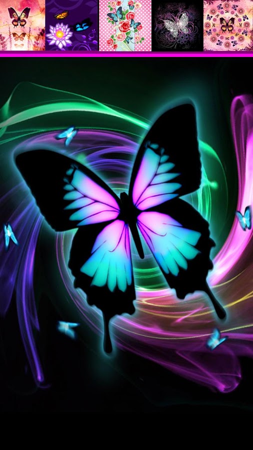 papiers peints de mode papillon,papillon,violet,insecte,violet,papillons et papillons