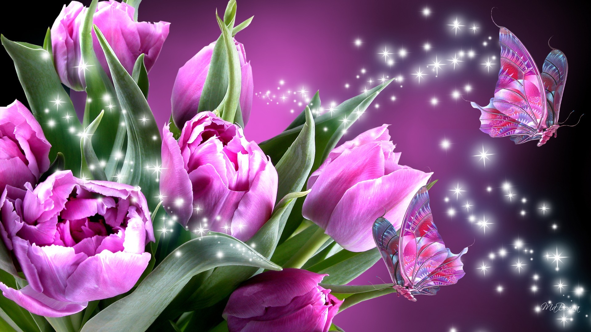 핑크 나비 라이브 배경 화면,꽃,꽃 피는 식물,꽃잎,분홍,식물