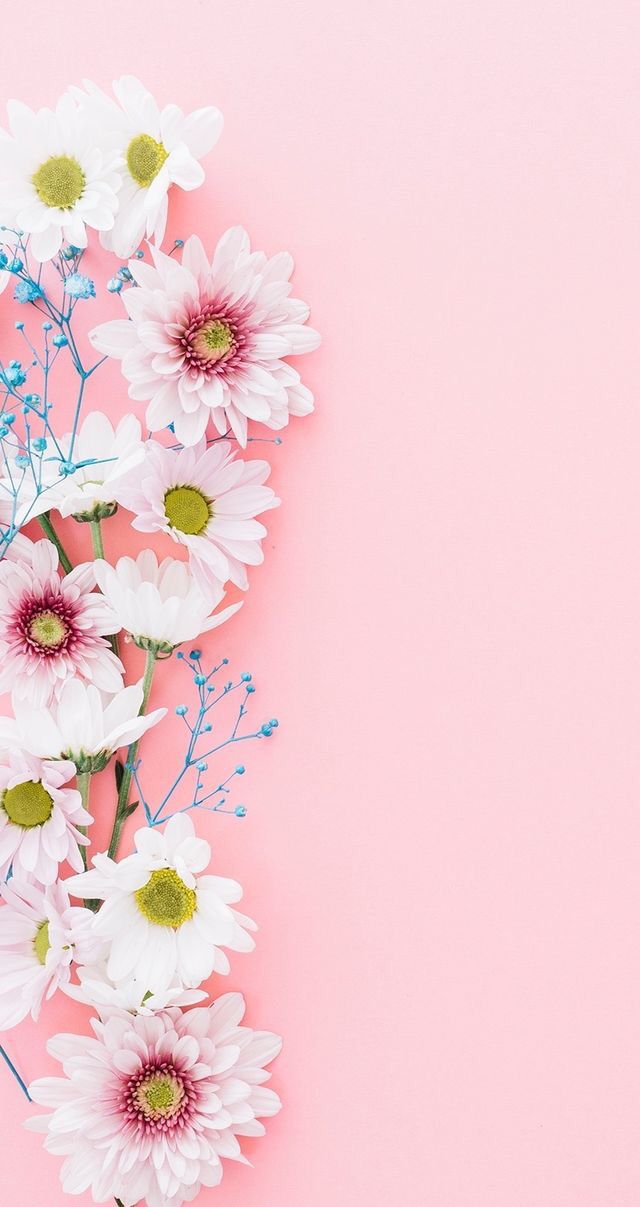whatsapp flower wallpaper,pink,flower,floral design,petal,plant