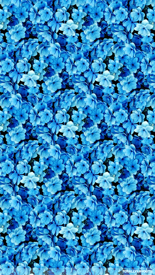 蓮の花iphoneの壁紙 青い 花弁 花 黄 工場 2246 Wallpaperuse 蓮の花iphoneの壁紙 青い 花弁 花 黄 工場 2246 Wallpaperuse