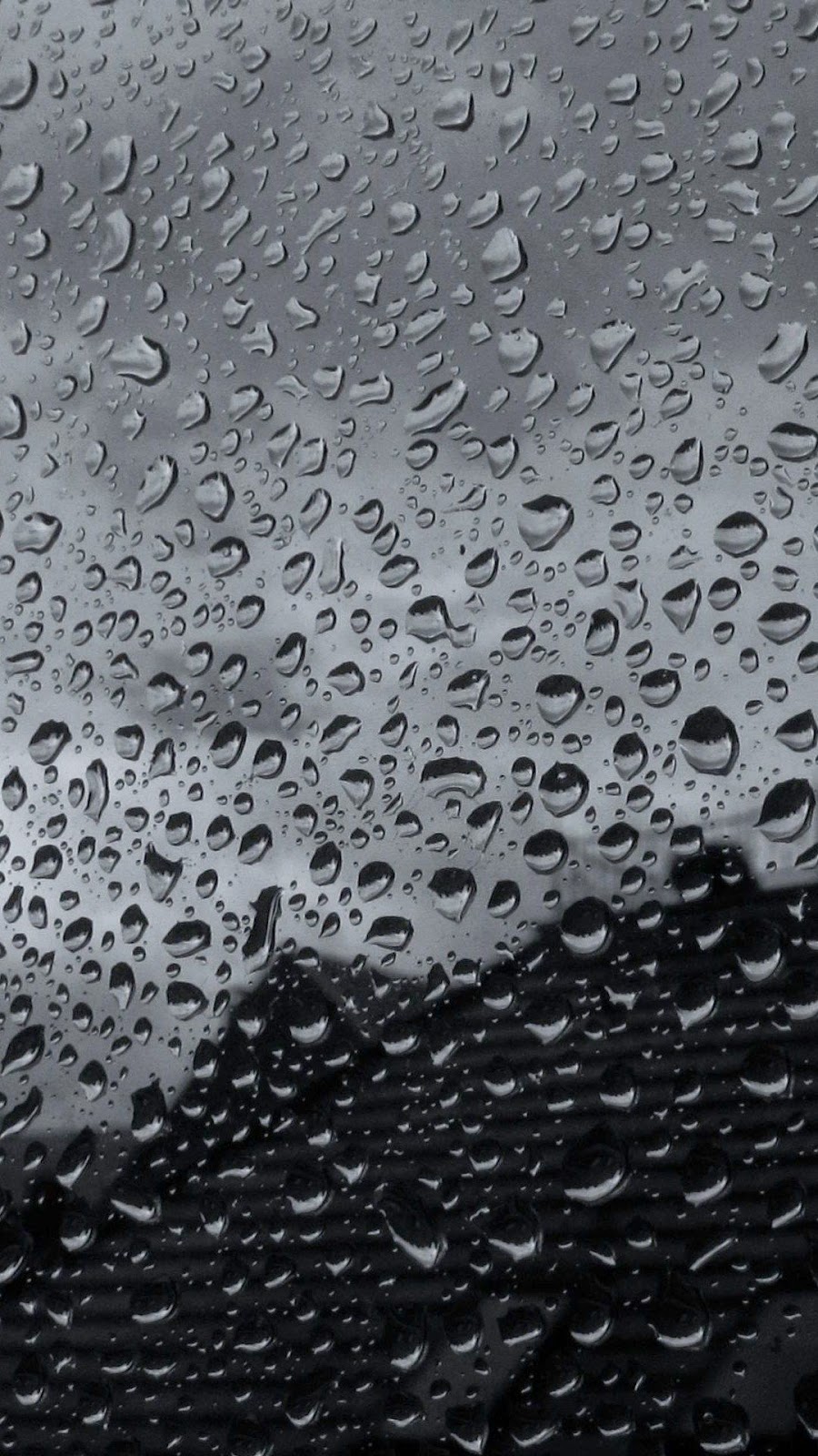 carta da parati in vetro nero,acqua,pioggerella,far cadere,pioggia,umidità
