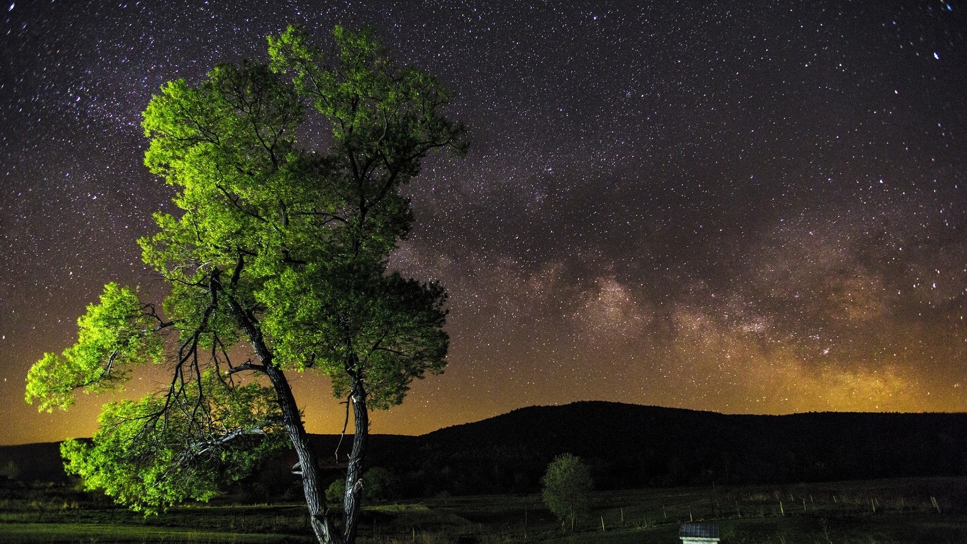 night stars wallpaper hd,sky,nature,night,tree,natural landscape