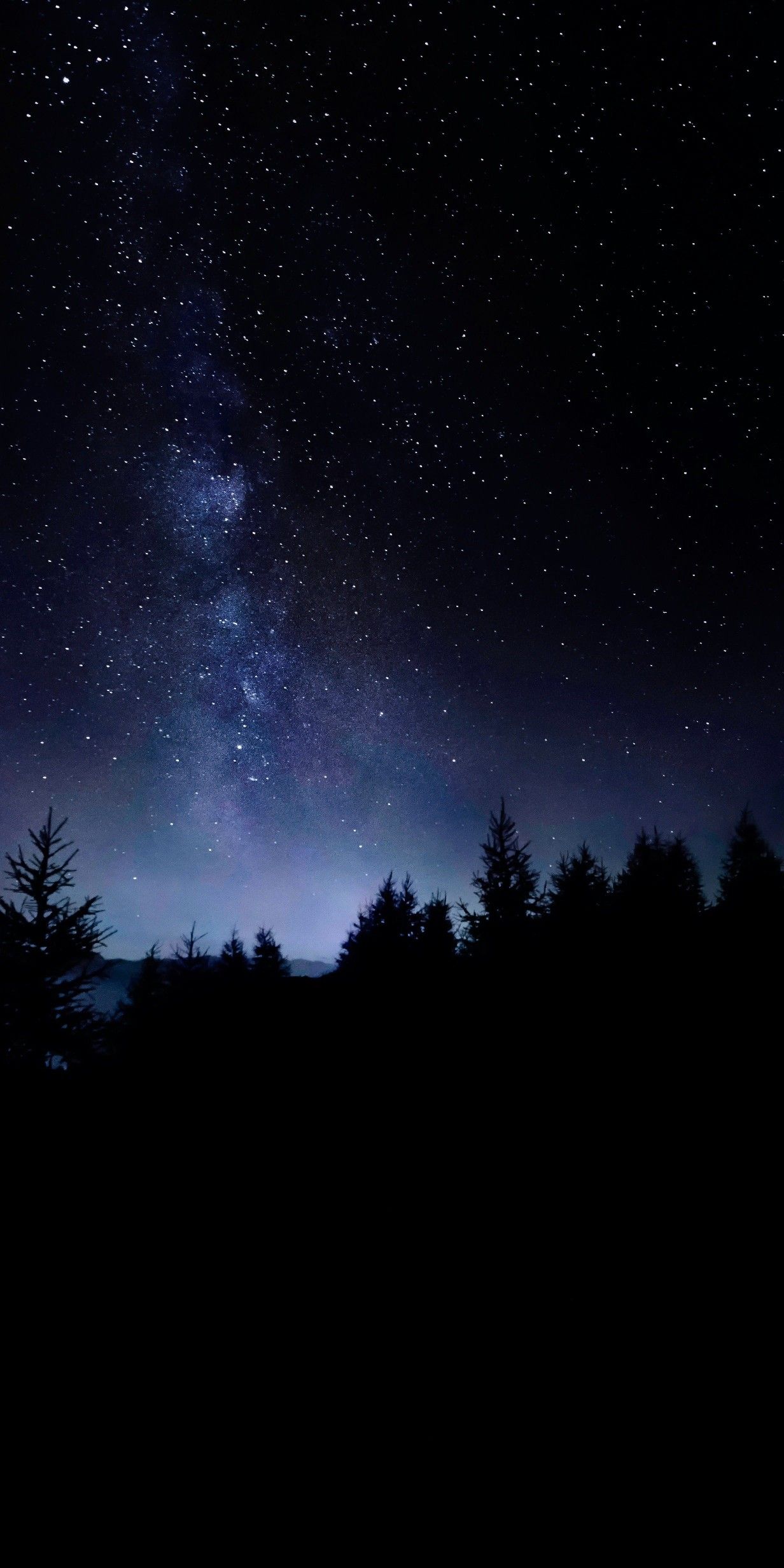 yıldız wallpaper,sky,nature,darkness,atmospheric phenomenon,night