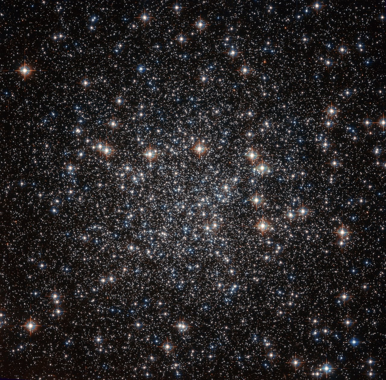 ciel plein d'étoiles fond d'écran,noir,cosmos,objet astronomique,univers,ciel