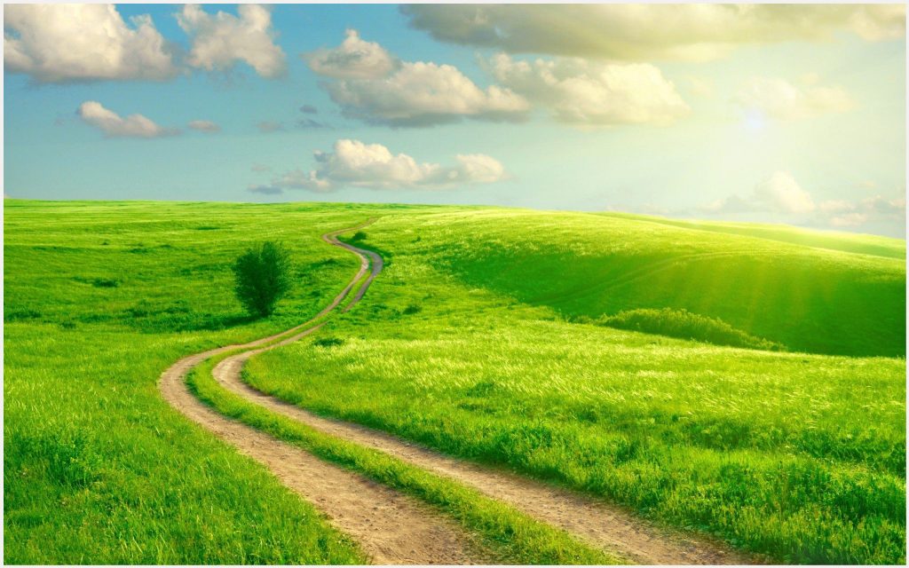 緑のライブ壁紙,自然の風景,緑,草原,自然,空