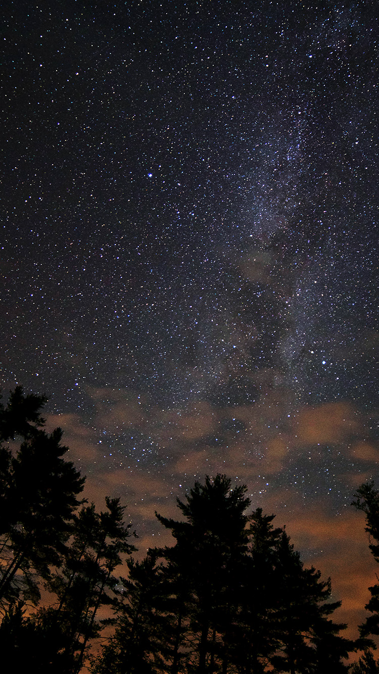 cielo nocturno fondos de pantalla iphone,cielo,naturaleza,noche,atmósfera,árbol
