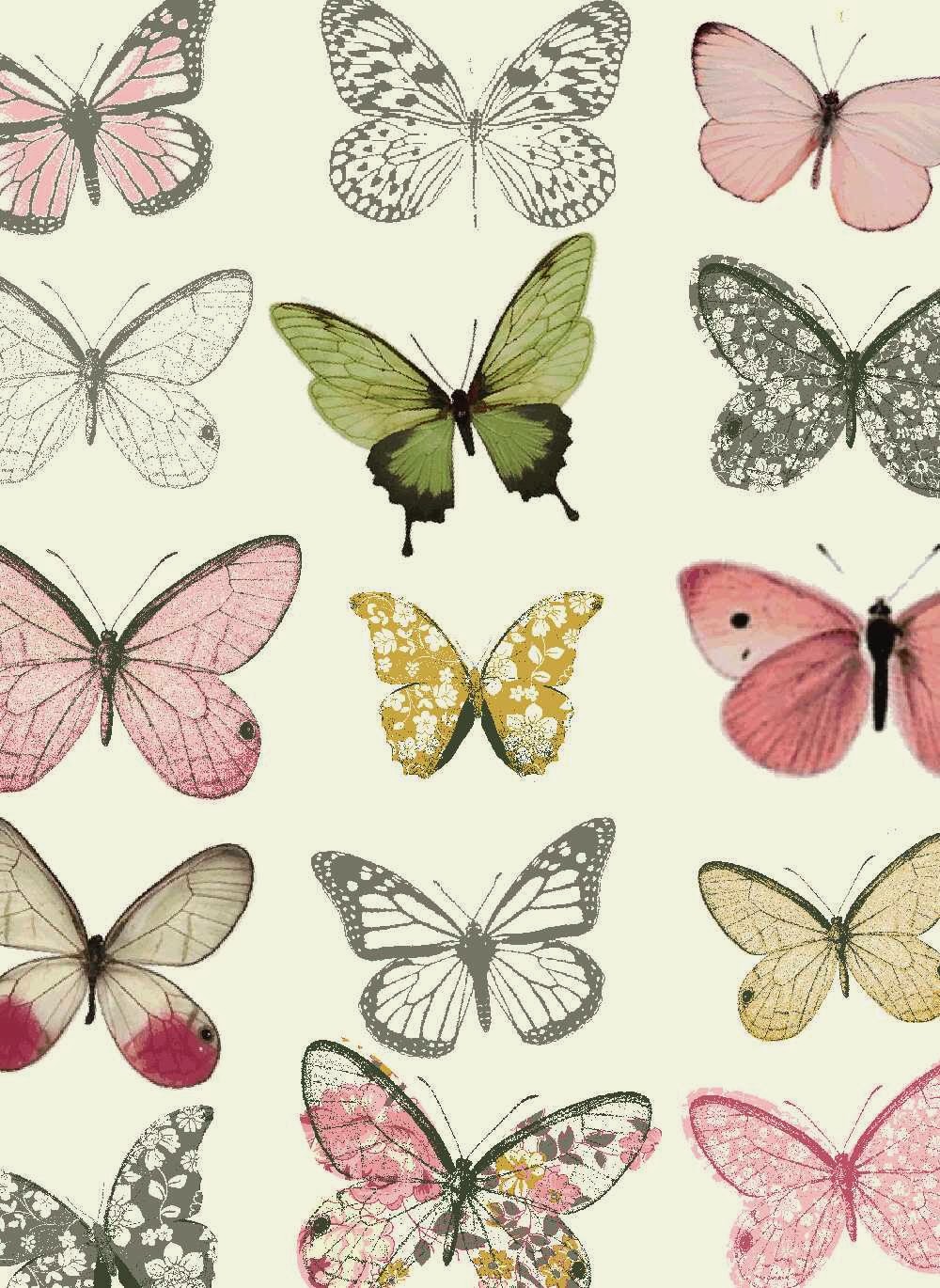 벽지 나비 디자인,나방과 나비,나비,신시아 아속,곤충,무척추 동물