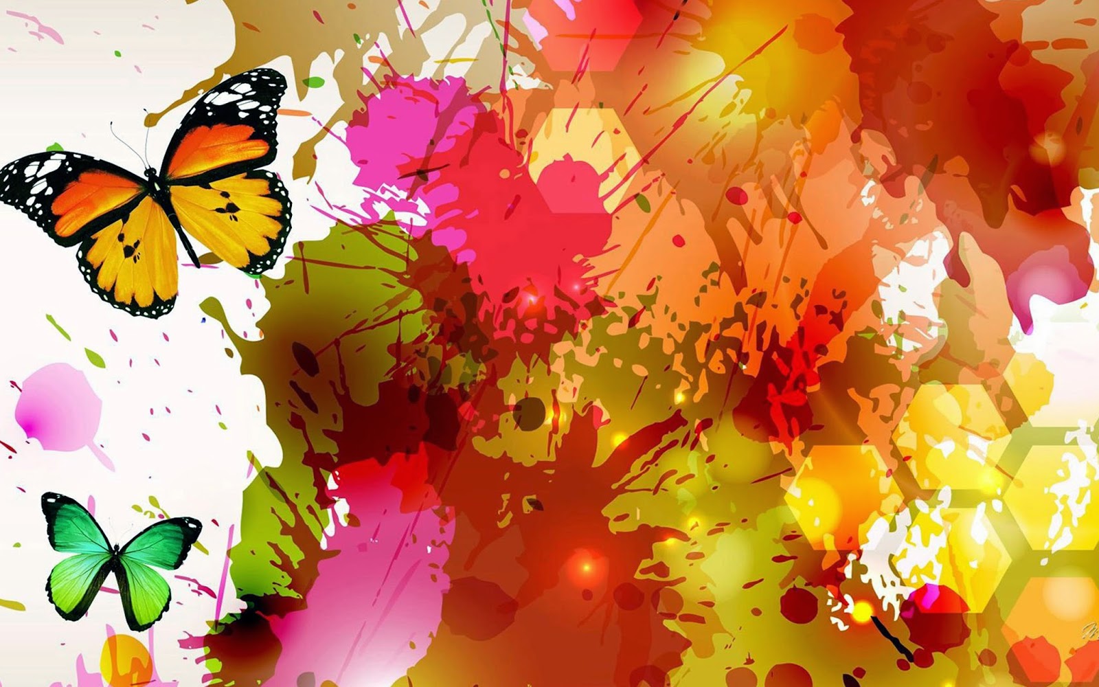 벽지 나비 디자인,나비,신시아 아속,군주 나비,노랑,주황색