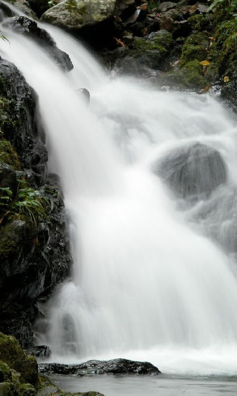 amazon 3d wallpaper,wasserfall,wasservorräte,gewässer,natur,wasser