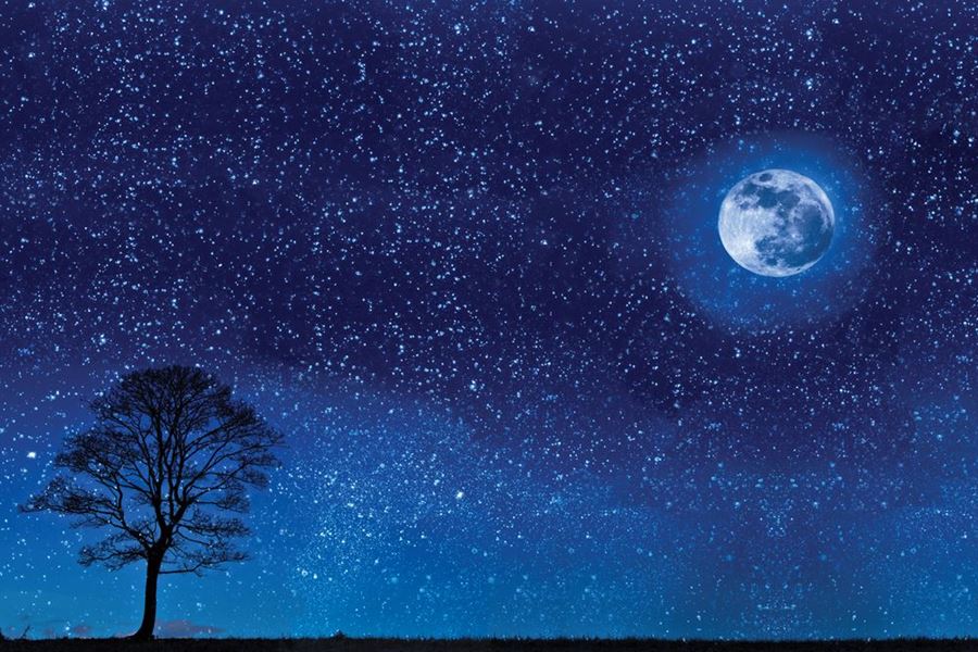 papel pintado cielo nocturno para paredes,cielo,azul,objeto astronómico,noche,atmósfera