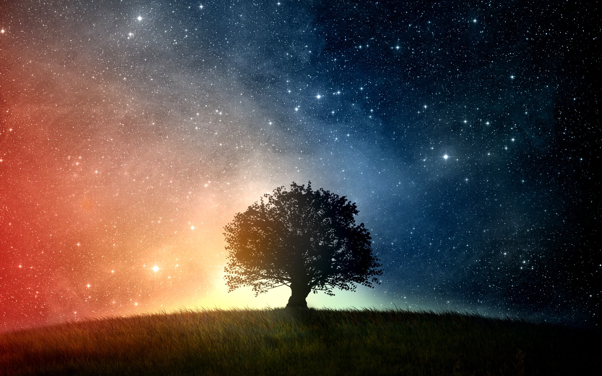 carta da parati alberi e stelle,cielo,natura,albero,paesaggio naturale,atmosfera