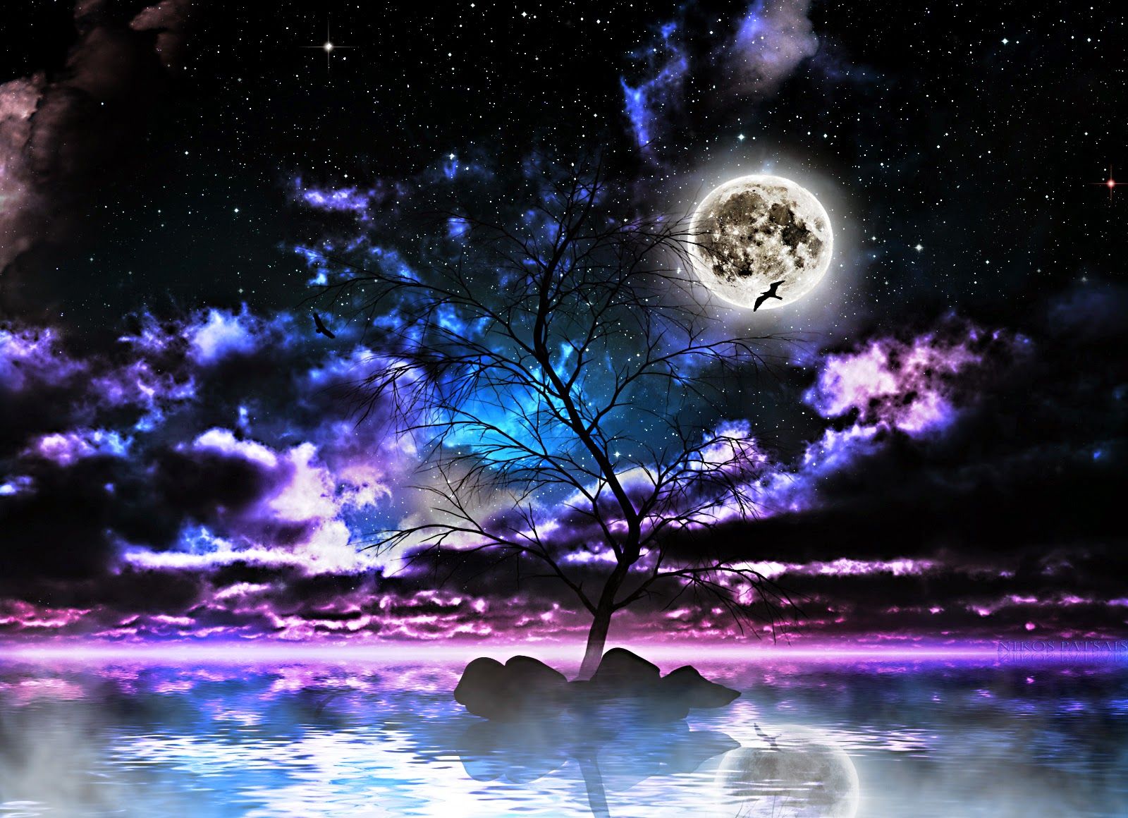 fond d'écran arbres et étoiles,la nature,ciel,violet,lumière,clair de lune