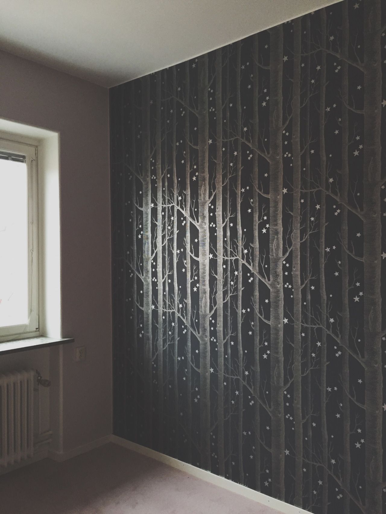 cole and son woods and stars wallpaper,wall,room,interior design,floor,wallpaper