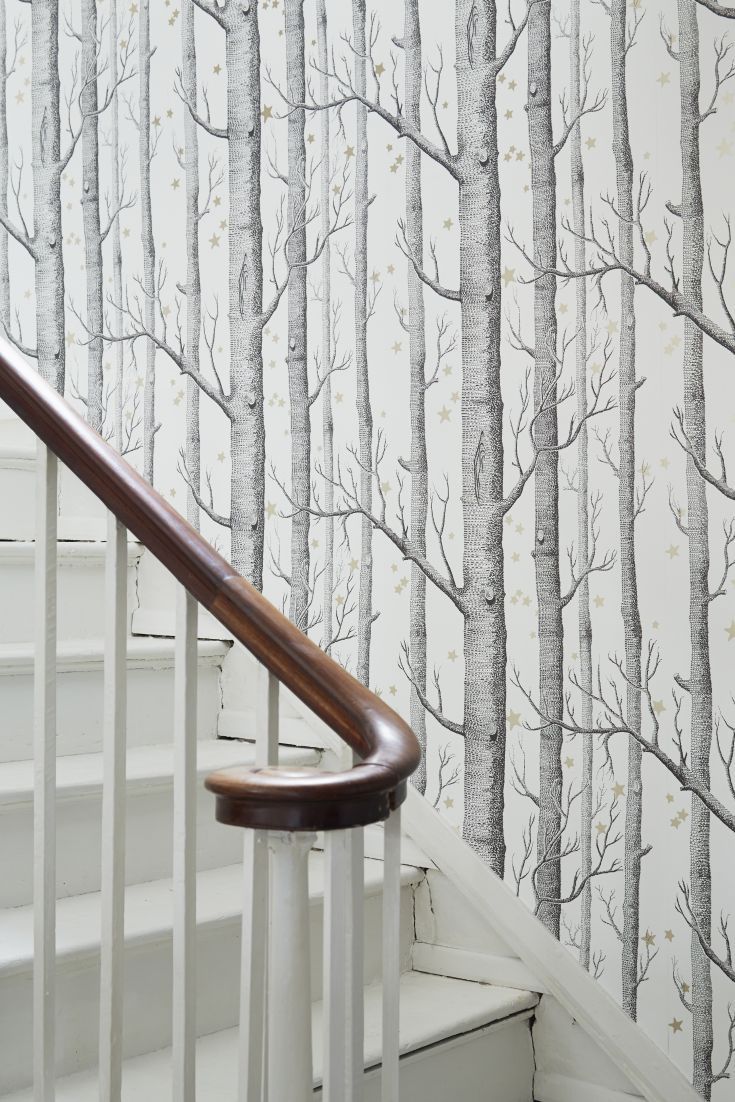 cole and son woods and stars wallpaper,product,handrail,wood,wall,tree