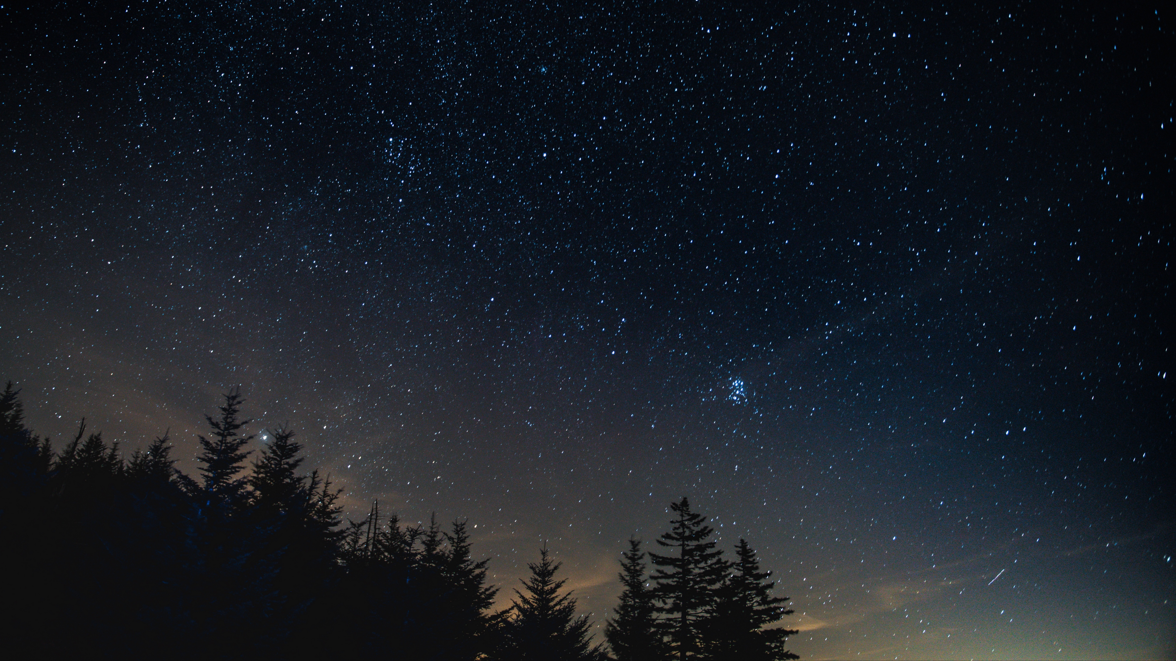 starry wallpaper,sky,nature,night,tree,atmospheric phenomenon