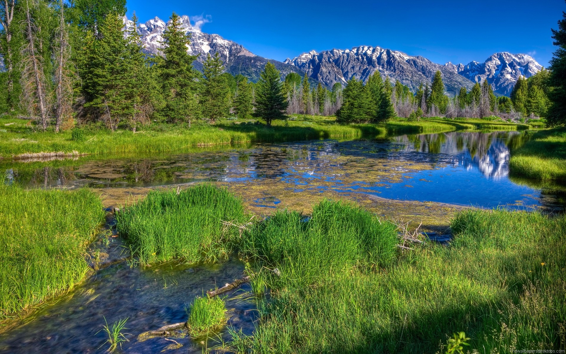 new laptop wallpaper,natural landscape,nature,body of water,wilderness,reflection