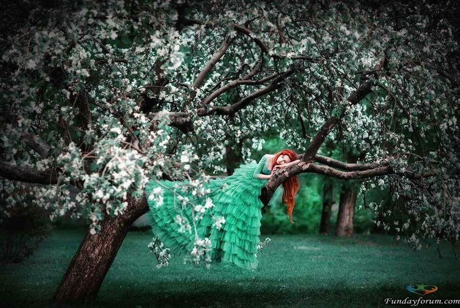 carta da parati per fb dp,verde,albero,pianta,fotografia,fiorire