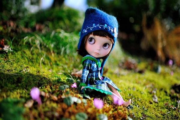 best wallpapers for whatsapp dp,doll,green,toy,leaf,grass