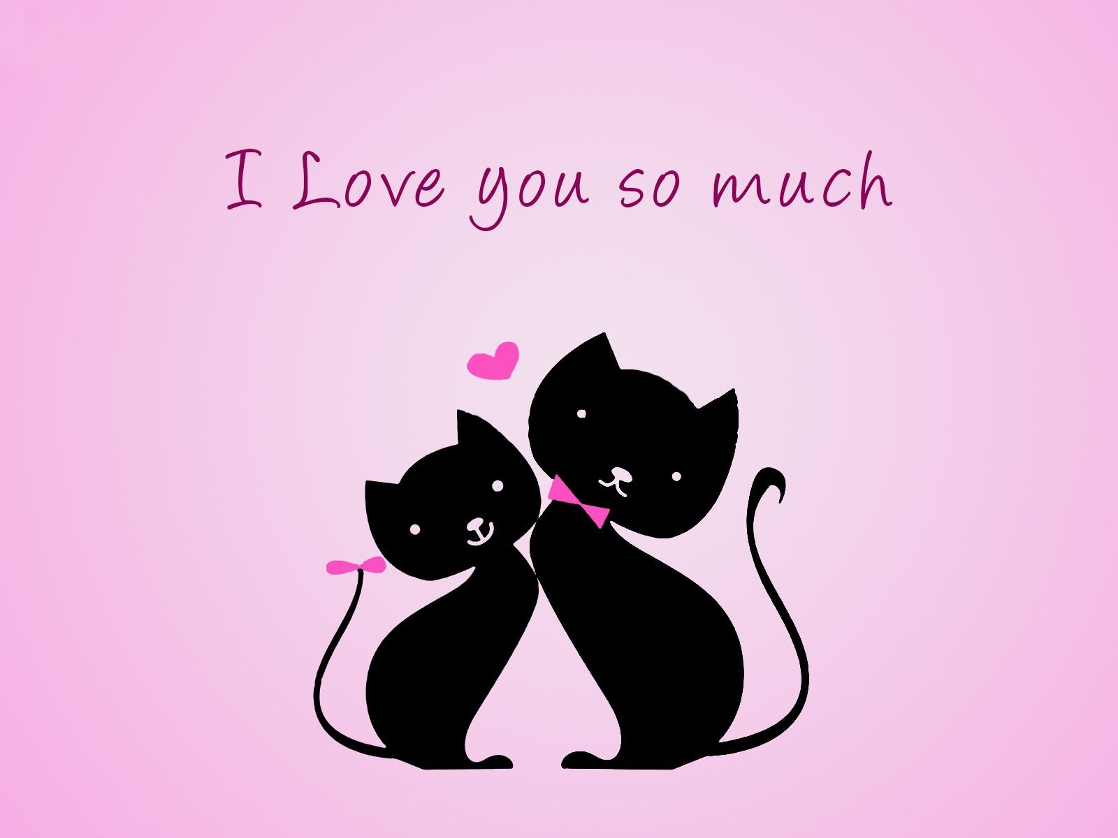 romantic wallpaper for whatsapp,cat,black cat,felidae,small to medium sized cats,text