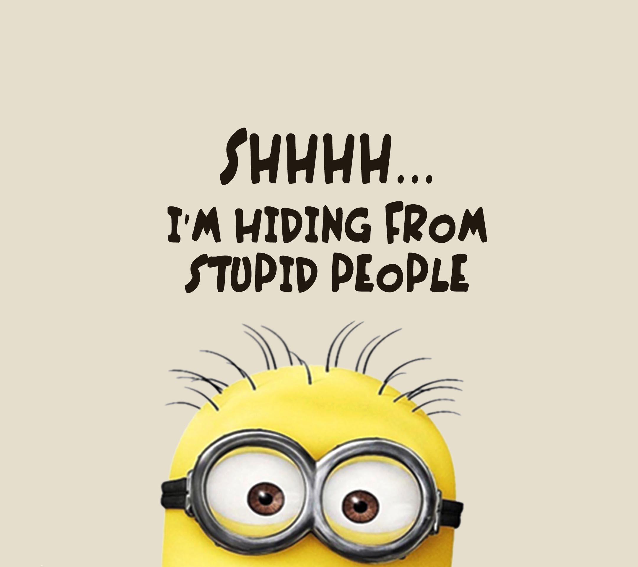 My Image 23