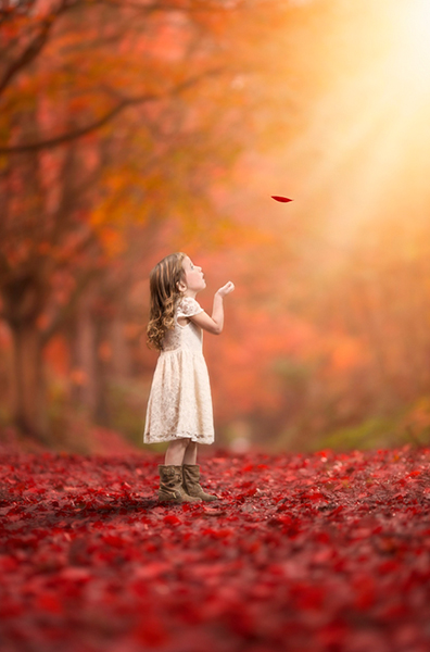 bellissimi sfondi per dp,natura,rosso,cielo,paesaggio naturale,arancia