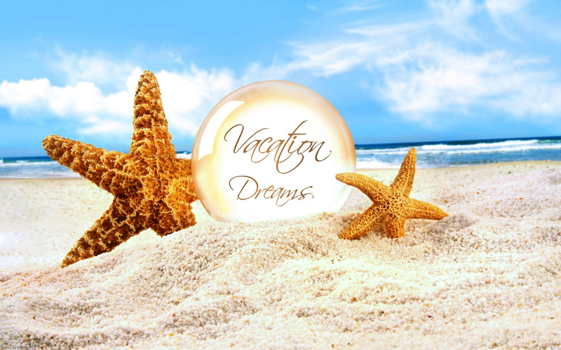 funny status wallpaper,starfish,sand,vacation,echinoderm,summer