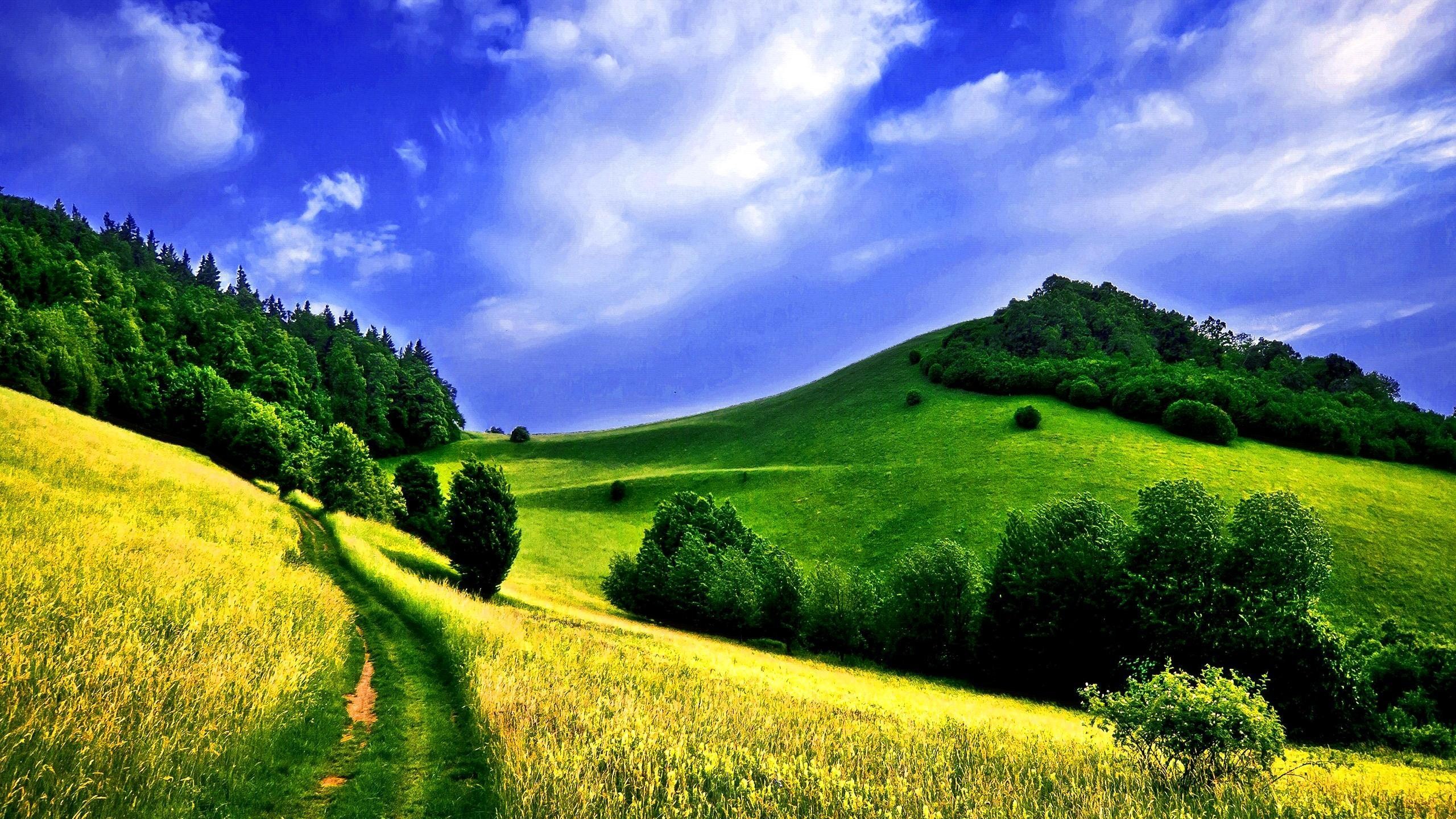 hintergrundbilder für tablets kostenloser download,natürliche landschaft,natur,himmel,wiese,grün