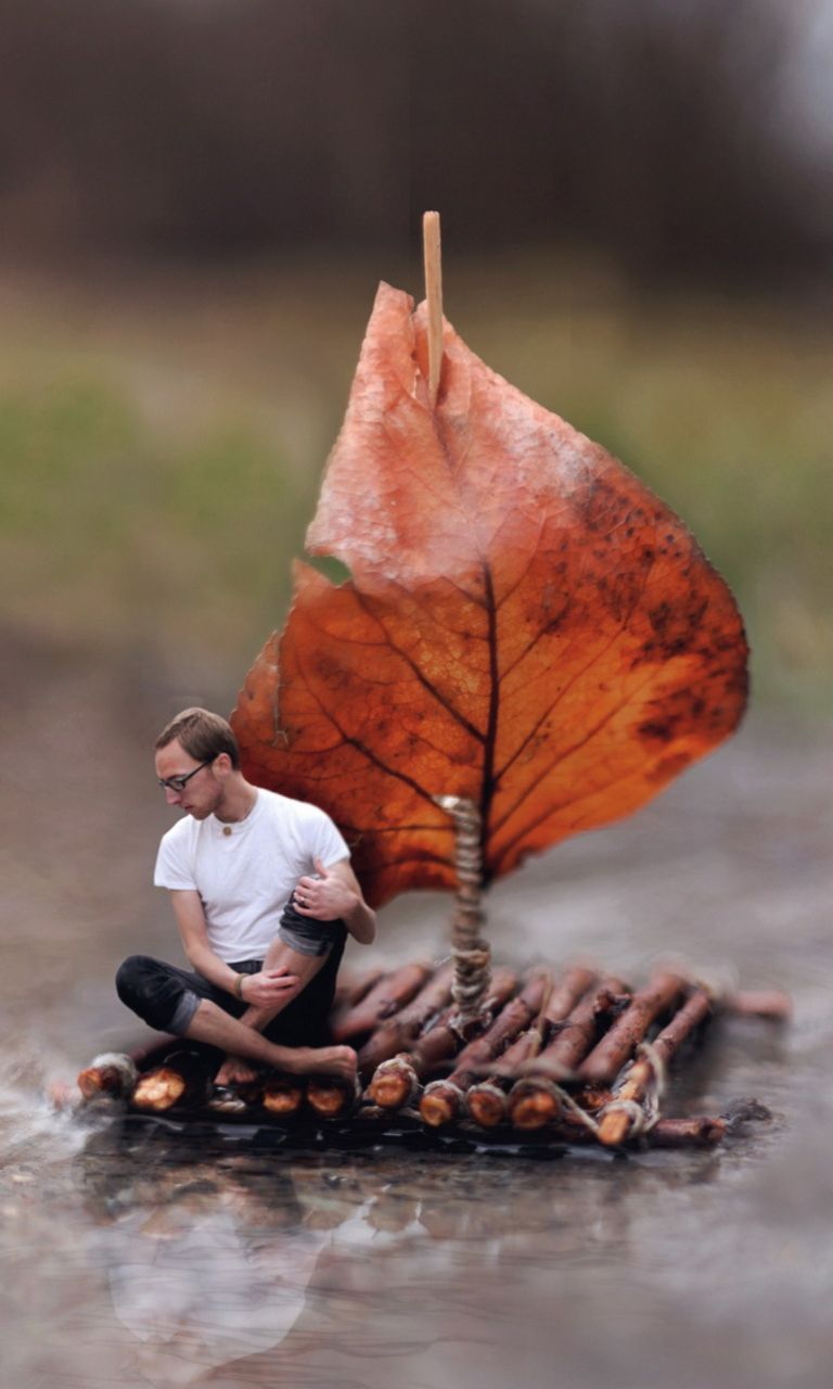 fond d'écran en direct dévotion,feuille,arbre,plante,photographie de nature morte