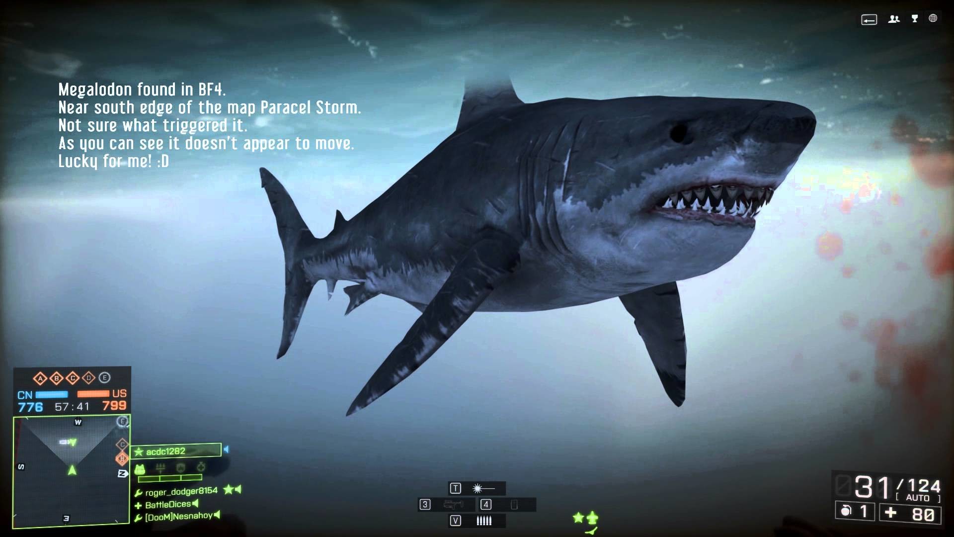 fondo de pantalla de megalodon,gran tiburón blanco,pez,tiburón,pez cartilaginoso,tiburón tigre de arena