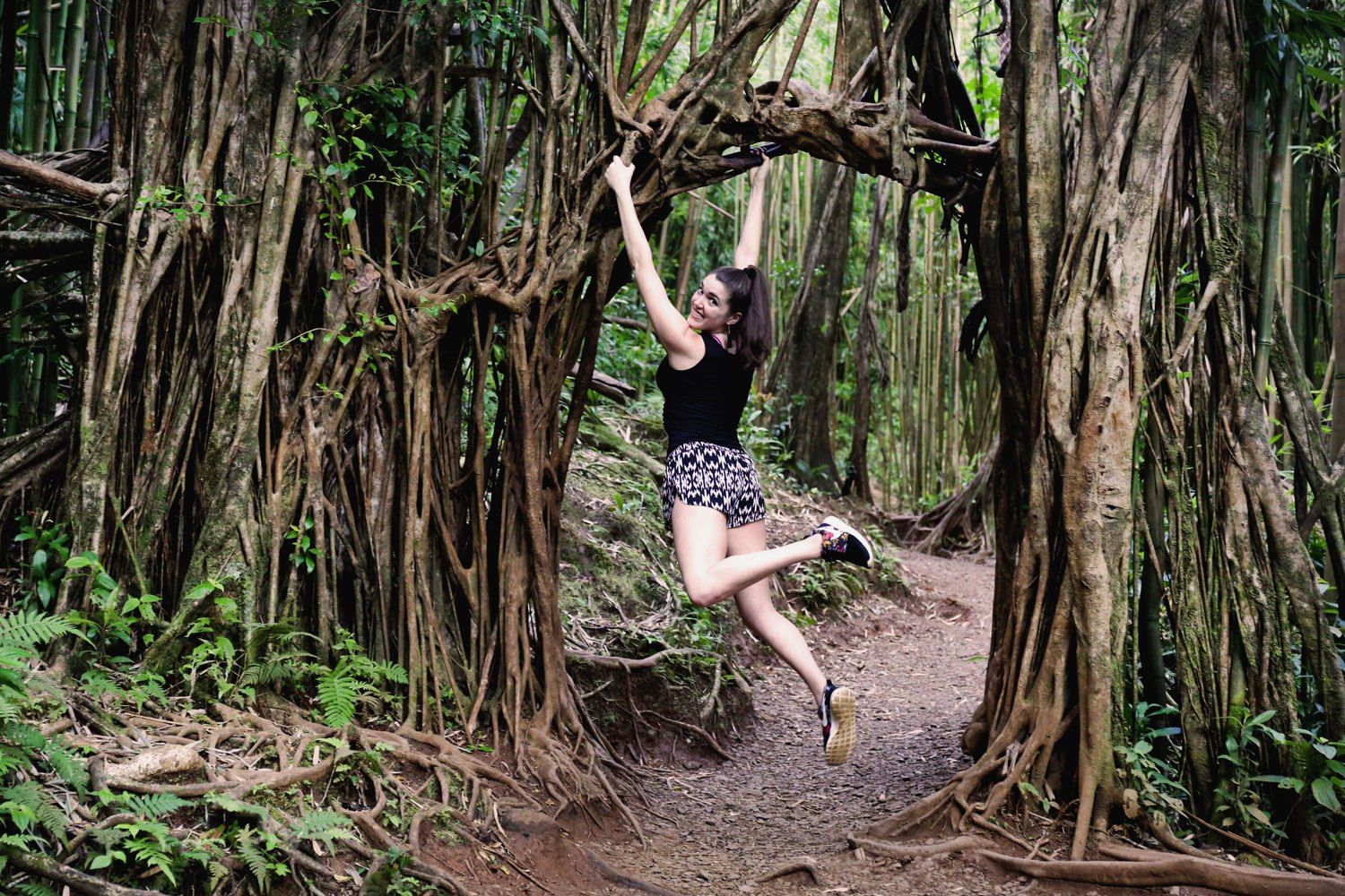 caminata fondos de pantalla amor,árbol,naturaleza,verde,bosque,selva