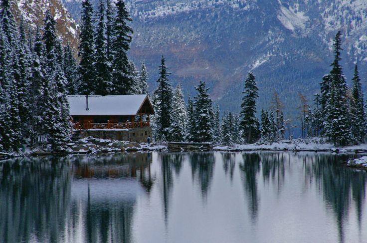 hike wallpaper love,snow,reflection,winter,nature,tree