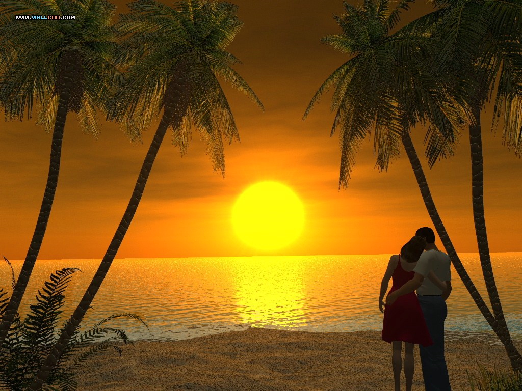 meilleurs fonds d'écran romantiques,arbre,le coucher du soleil,ciel,lever du soleil,palmier