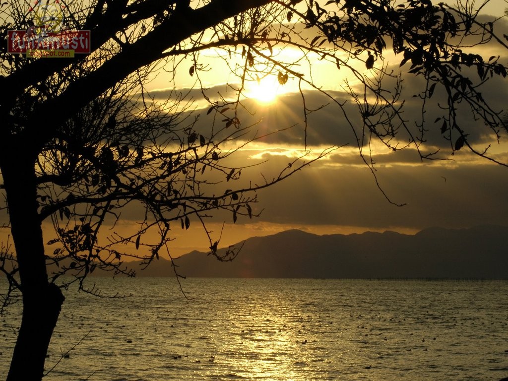 migliori sfondi romantici,cielo,natura,paesaggio naturale,albero,acqua