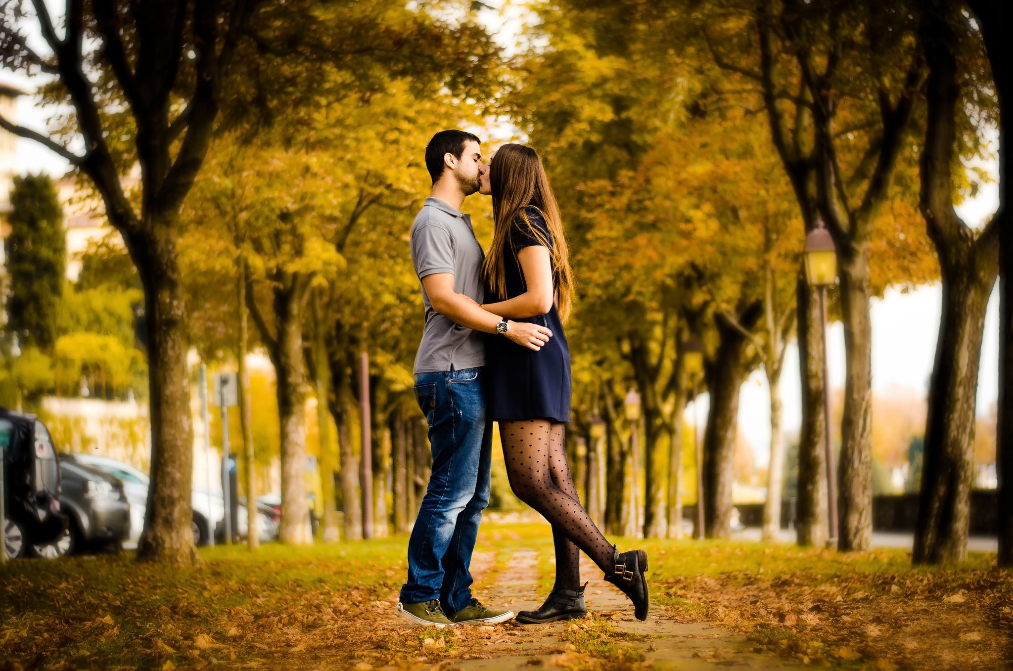 sfondi amore per il fidanzato,fotografia,natura,romanza,albero,amore