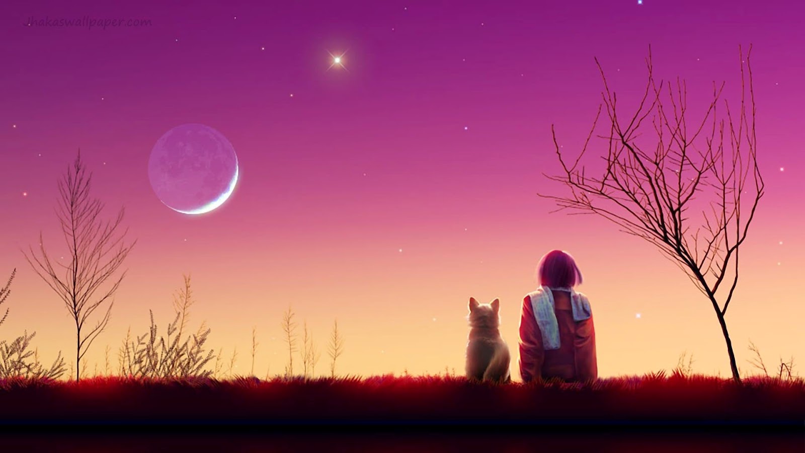 fondo de pantalla hd amistad,cielo,naturaleza,luna,ligero,paisaje natural