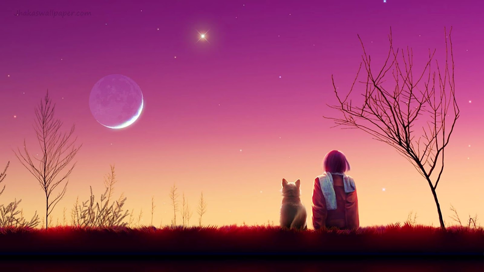 hd wallpaper friendship,sky,nature,moon,light,natural landscape