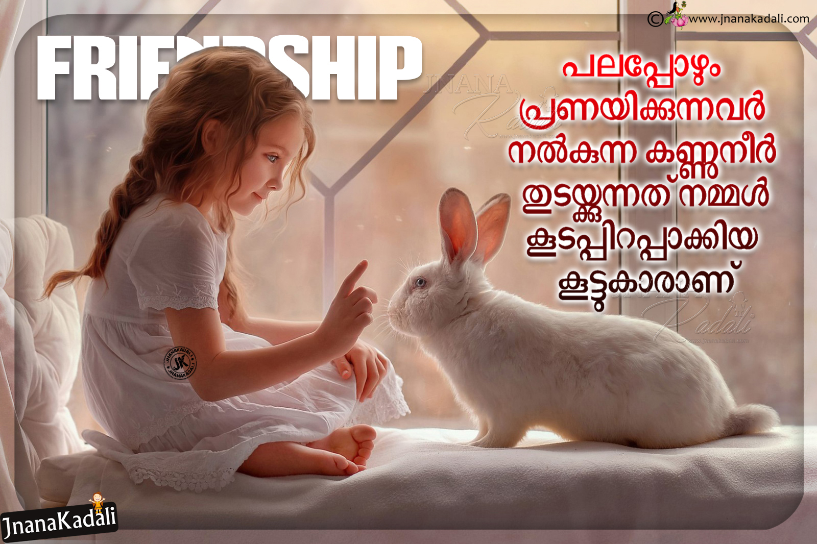 nice wallpapers of friendship,rabbit,rabbits and hares,photo caption,organism,adaptation