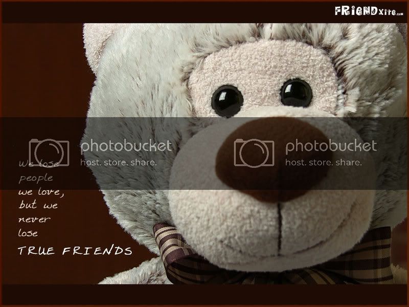 friendship wallpapers with wordings,text,stuffed toy,snout,nose,font