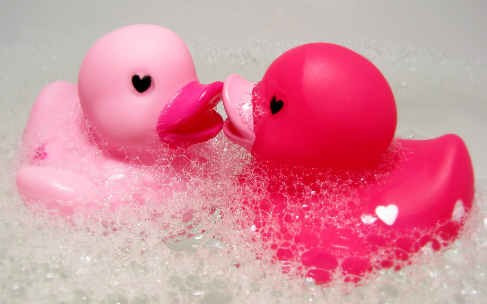 scarica lo sfondo di amore e amicizia,rosa,uccello,paperella di gomma,giocattolo da bagno,uccello acquatico