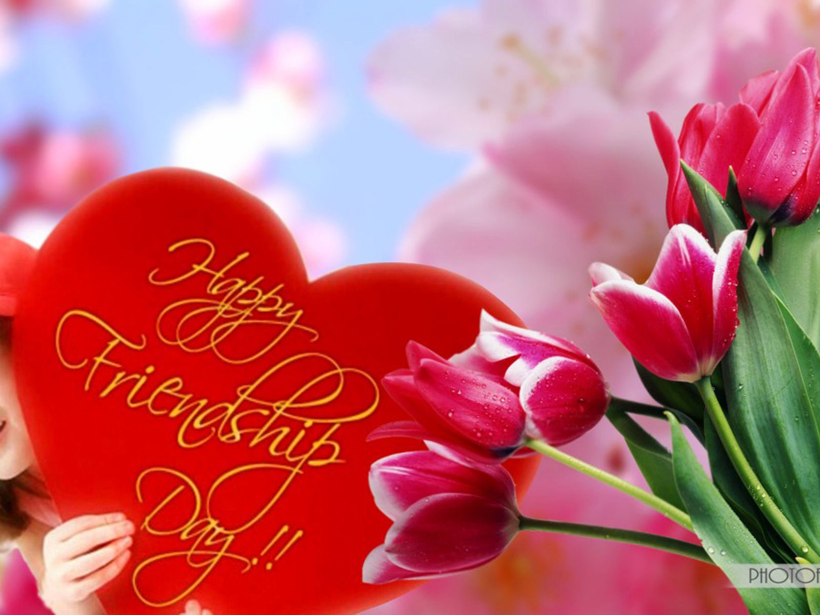 download wallpaper of love and friendship,petal,pink,valentine's day,love,flower