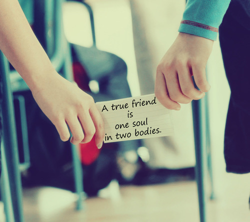 true friends wallpaper,text,product,hand,font,arm