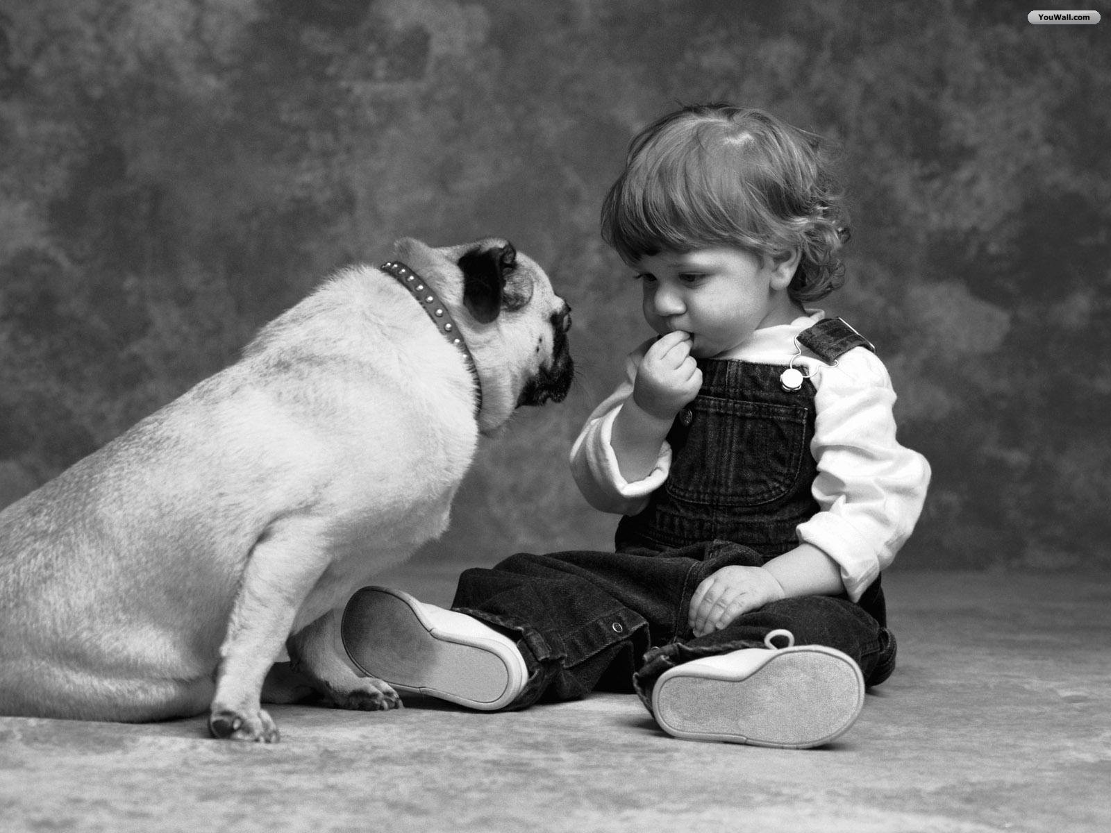 sfondi di amicizia ragazzo e ragazza,cane,bambino,cane da compagnia,bulldog,fotografia