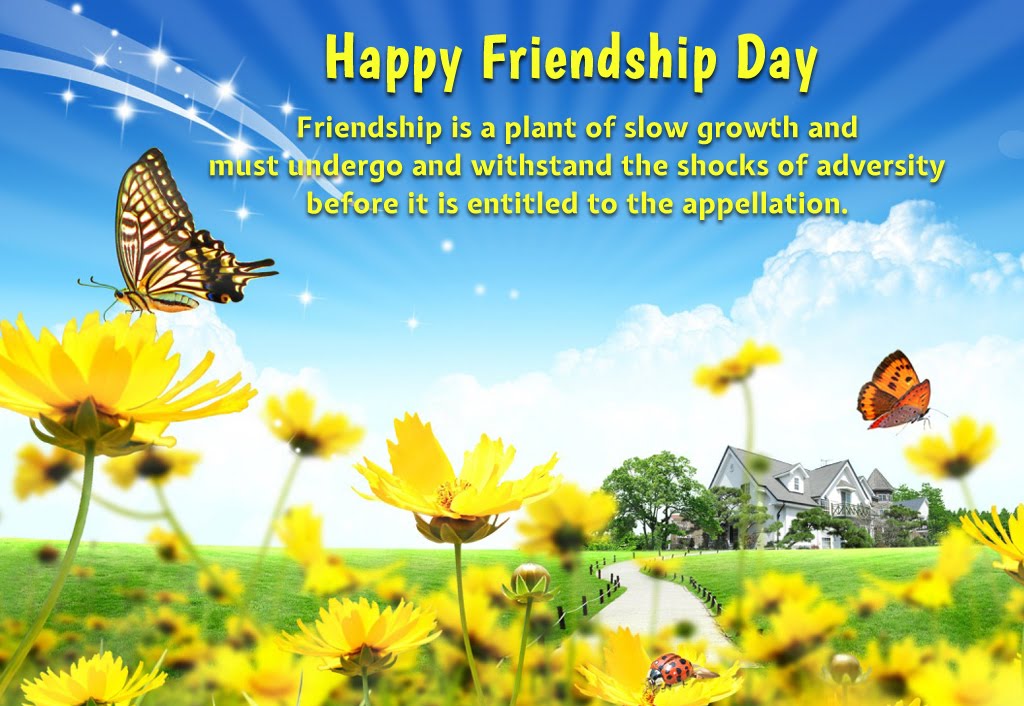fonds d'écran d'amitié avec des messages,la nature,papillon,insecte,paysage naturel,jaune