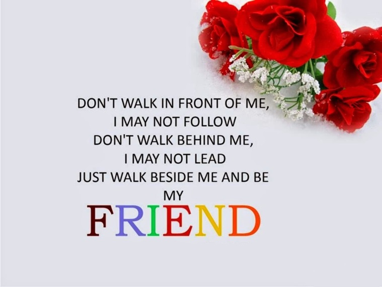 friendship wallpapers with messages,text,red,cut flowers,font,flower